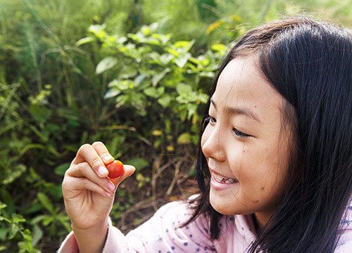 食之有據