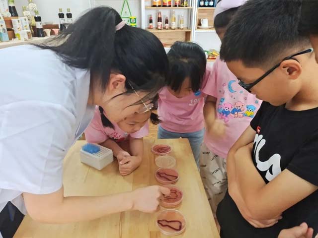 現場(chǎng)講各類(lèi)形態(tài)的微生物標本